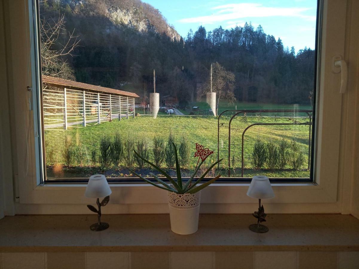 Entire House Iris & Arnika Vila Bled Exterior foto