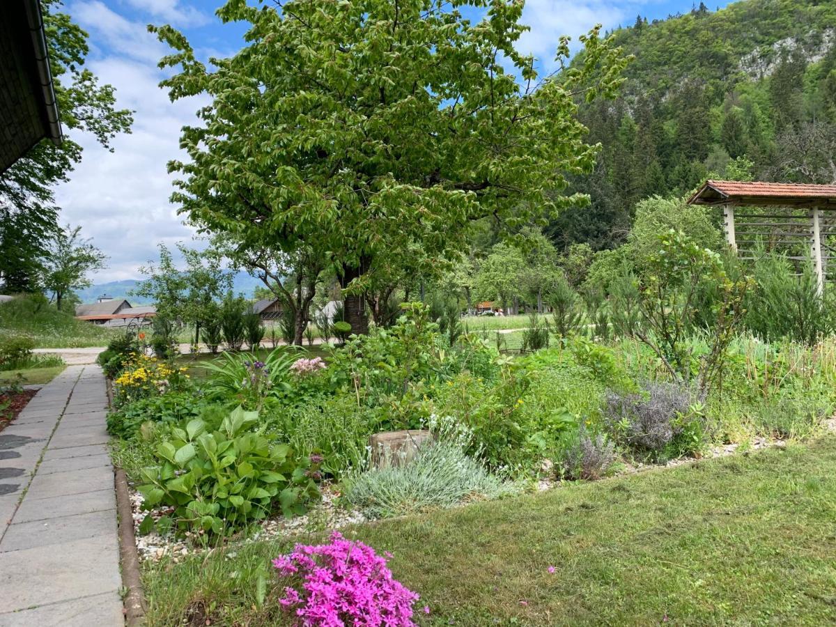 Entire House Iris & Arnika Vila Bled Exterior foto