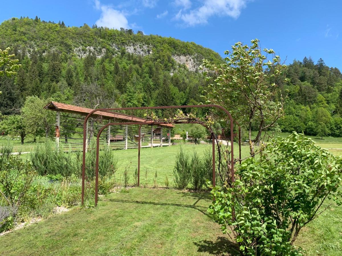 Entire House Iris & Arnika Vila Bled Exterior foto